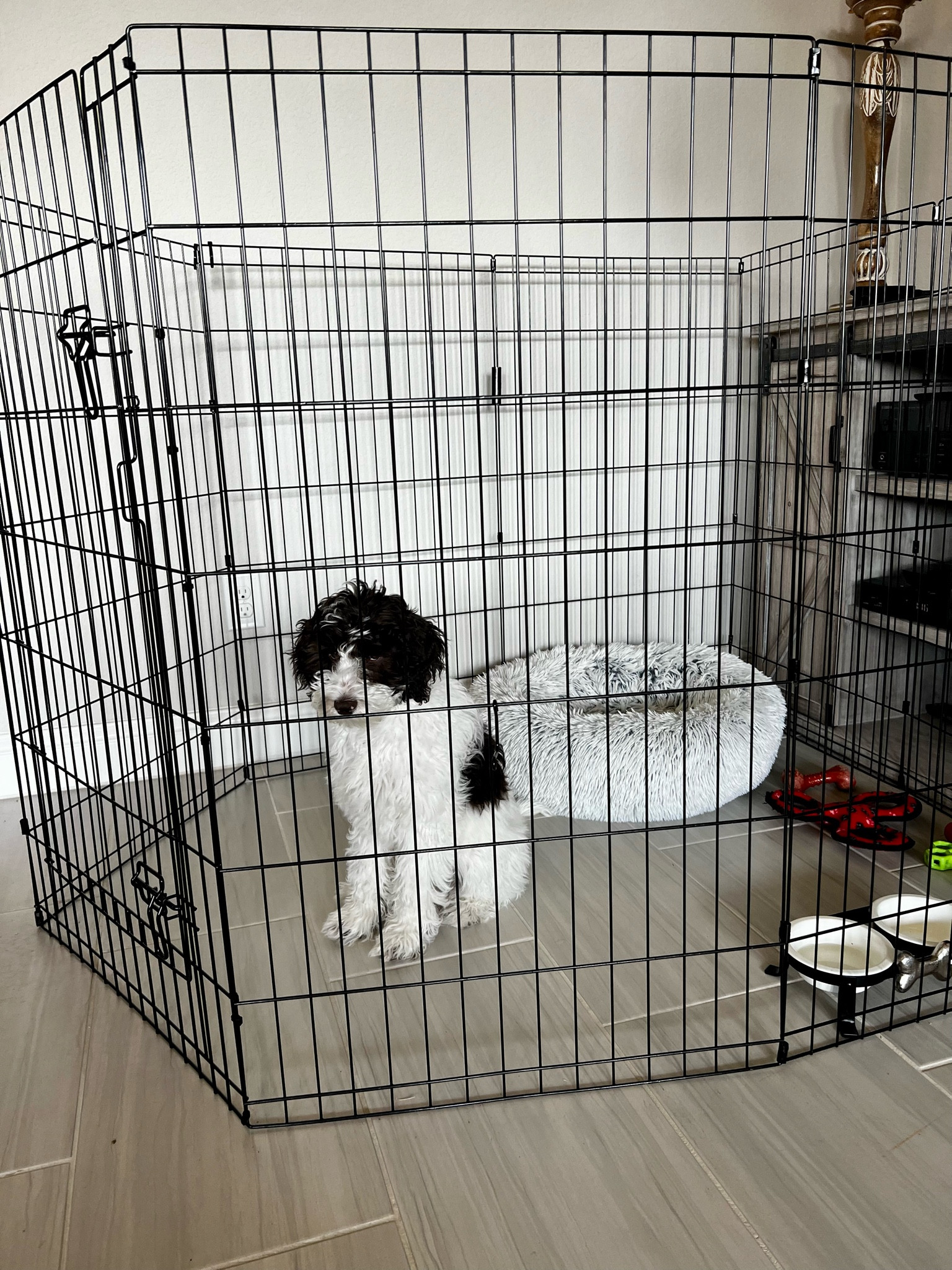 We have used this to keep our puppy safe when we leave the house and don’t want to kennel her and also placed around a Christmas tree to keep puppies or cats away from ornaments/lights. Amazon Basics Foldable Octagonal Metal Exercise Pet Play Pen for Dogs, Fence Pen, Single Door, Large, 60 x 60 x 42 Inches, black. 

#LTKsalealert #LTKxPrime #LTKhome