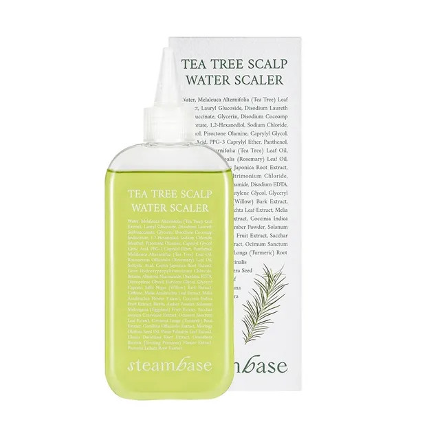 STEAMBASE - Tea Tree Scalp Water Scaler | YesStyle Global