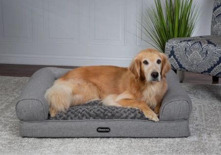 Beautyrest Lux Lounger Memory Foam Couch Bed 

#LTKfindsunder100 #LTKhome #LTKfamily