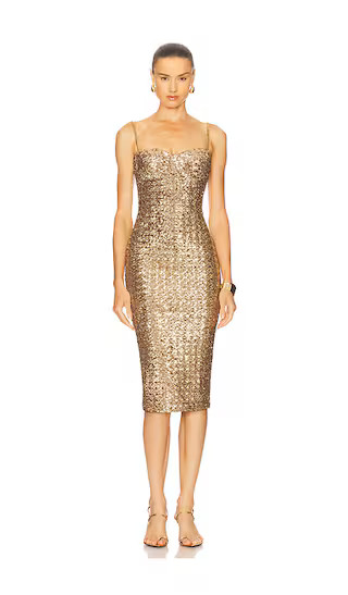 Nina Dress in Metallic | Revolve Clothing (Global)