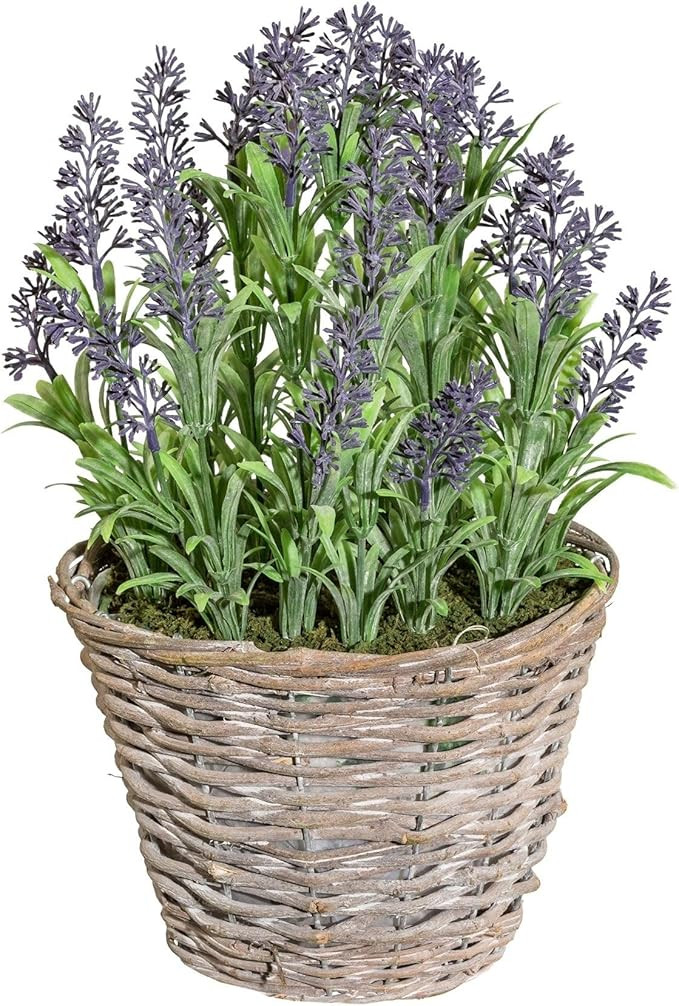 Artificial Purple Lavender Plant in Rustic Wicker Basket 14 Inch Brown | Amazon (US)