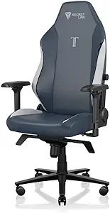 Secretlab Titan Evo 2022 Royal Gaming Chair - Reclining, Ergonomic & Comfortable Computer Chair w... | Amazon (US)
