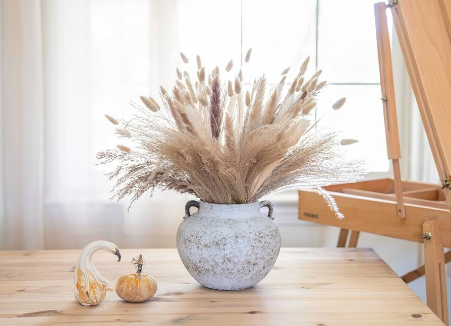 Rustic Textured White Ceramic Vase with Two Handles for Home Decor | Amazon (US)