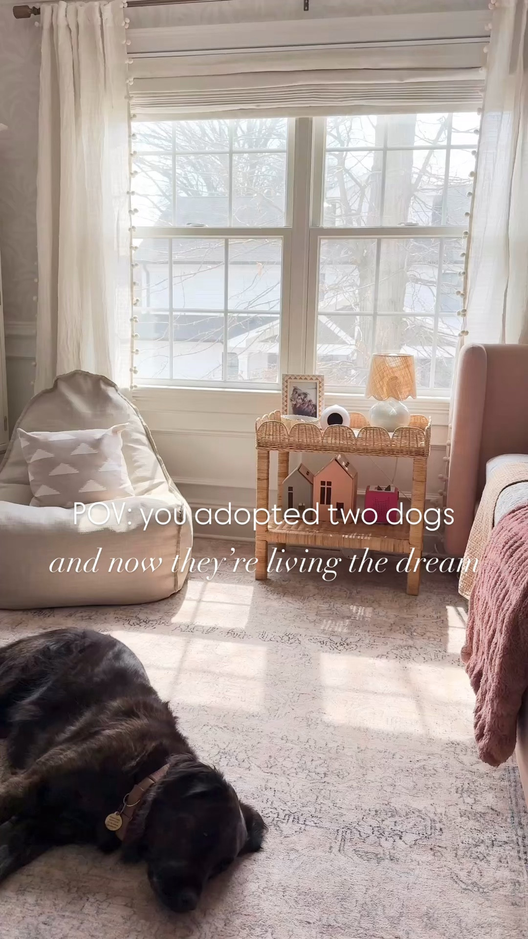 We love these pups so much 🩶

Further proof that everything in our home is kid-friendly and pet-friendly (and yes, our dogs walk on our rugs and sit on our sofas and sleep in our beds 😂) 

#LTKKids #LTKHome #LTKSaleAlert