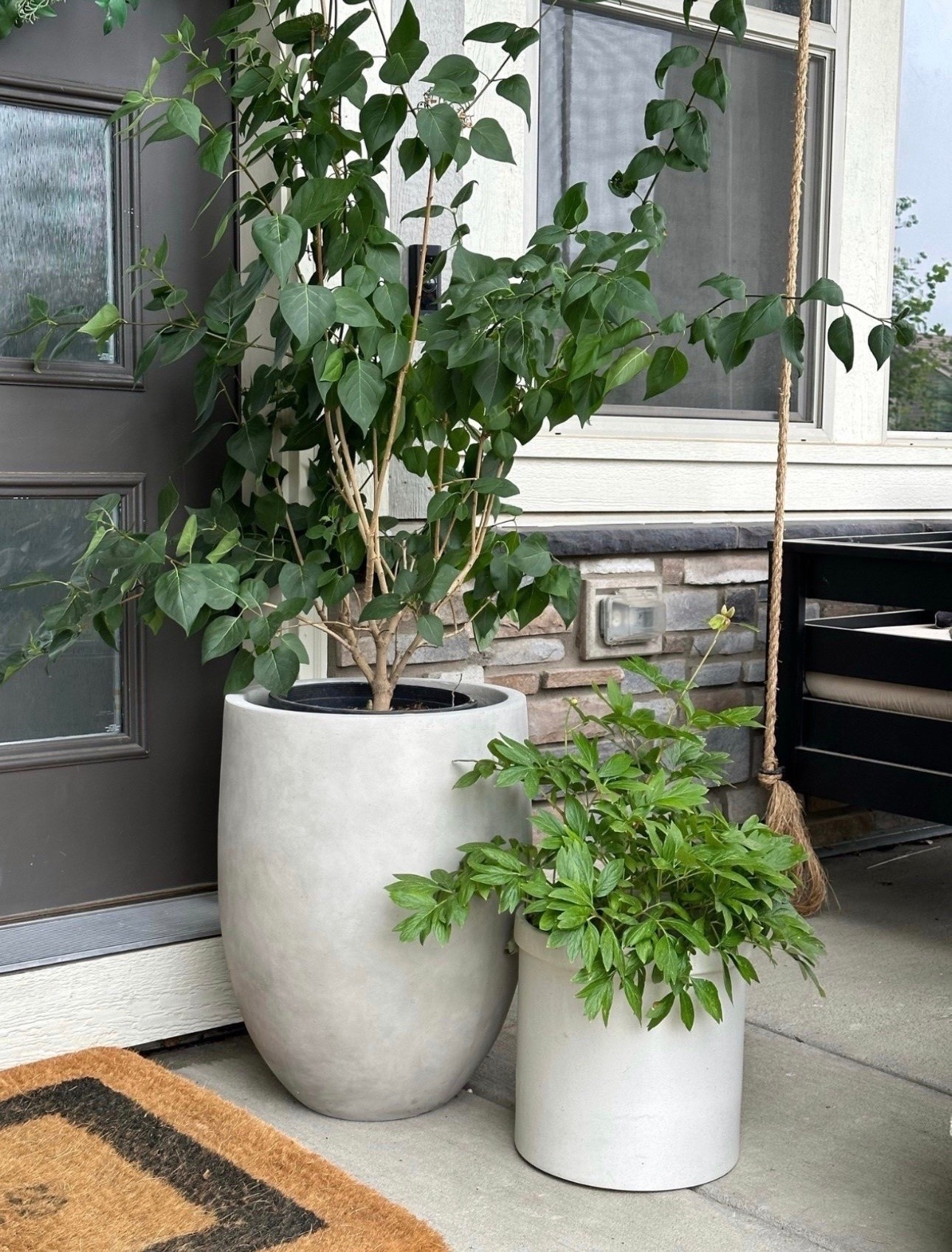 Top selling planter 

Amazon 
Porch
Vase

#LTKdayinmylife #LTKSeasonal #LTKHome