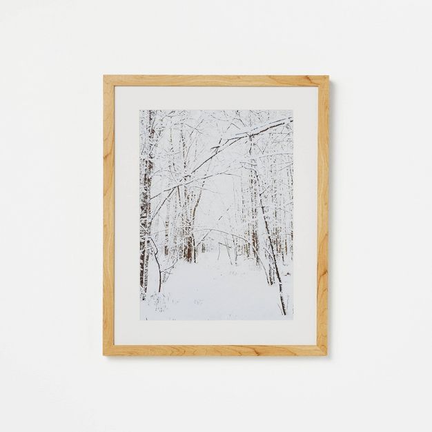 16&#34; x 20&#34; Forest Framed Under Plexi Poster Prints White - Threshold&#8482; designed with ... | Target