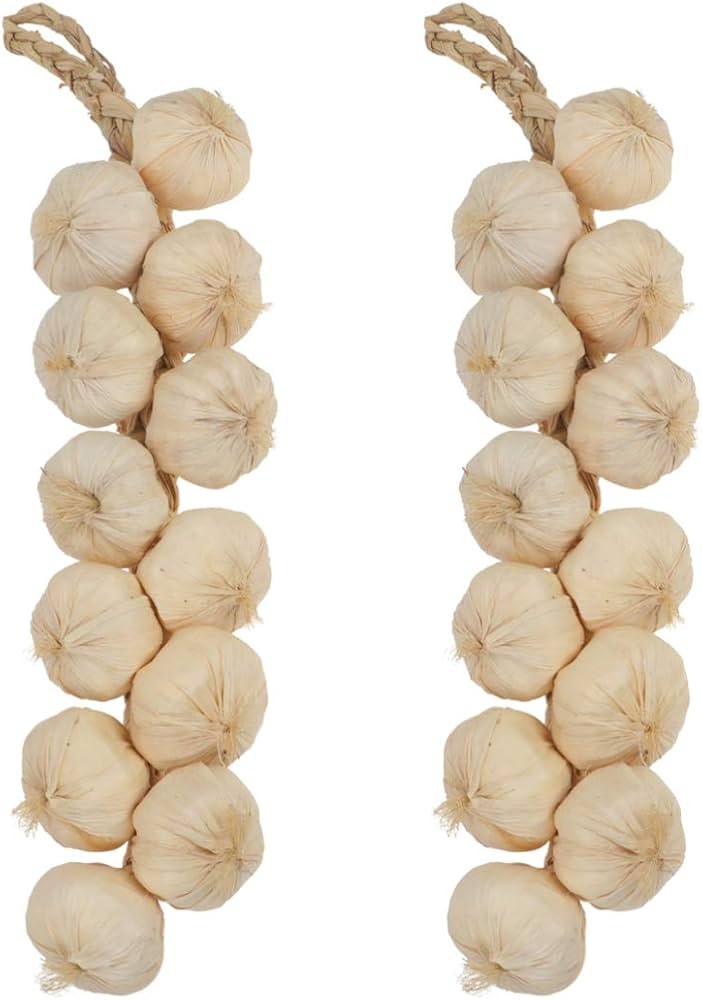 BESPORTBLE 2Pcs Fake Garlic Hanging String Vegetable Photography Props Lifelike White Garlic for ... | Amazon (US)