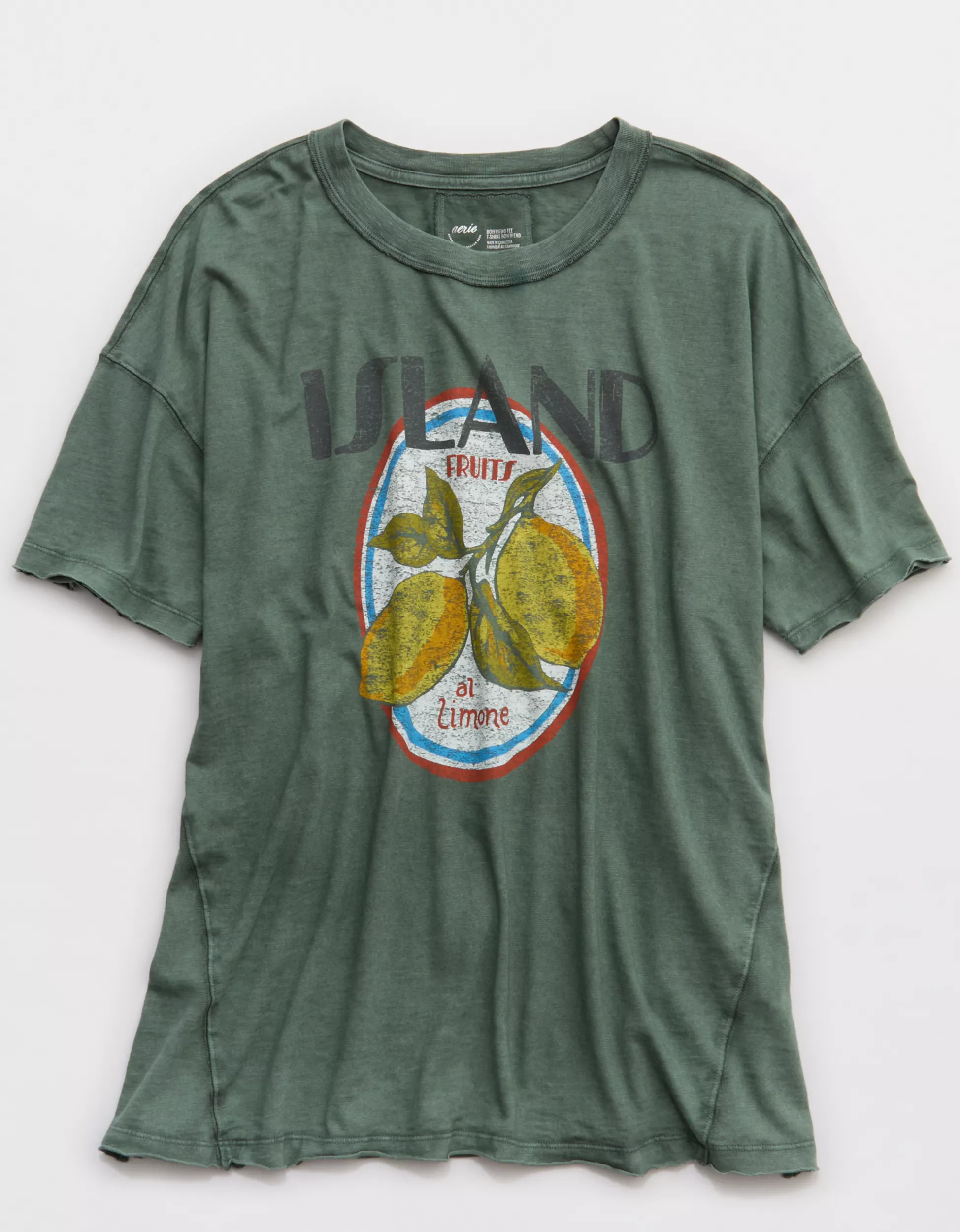 Aerie Oversized Crew Boyfriend T-Shirt | Aerie