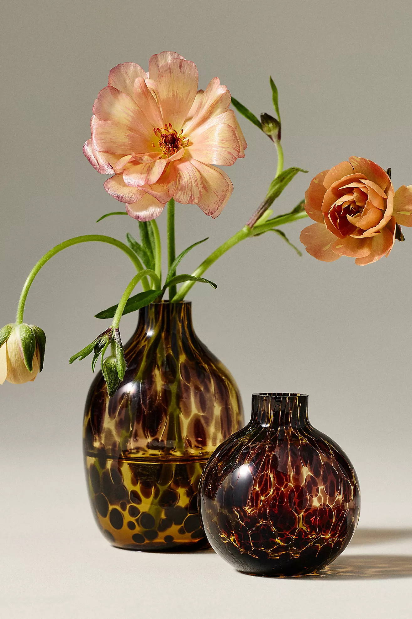 Mini Tortoise Bud Vases, Set of 2 | Anthropologie (US)
