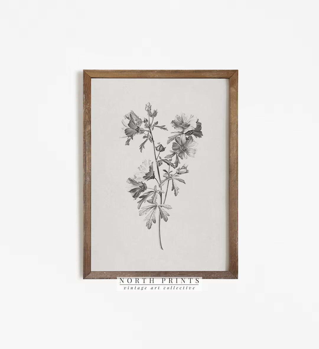Botanical Sketch | Vintage Farmhouse Print PRINTABLE Wall Art #315 | Etsy (US)
