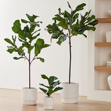 Faux Potted Fiddle Leaf Fig Trees | West Elm (US)