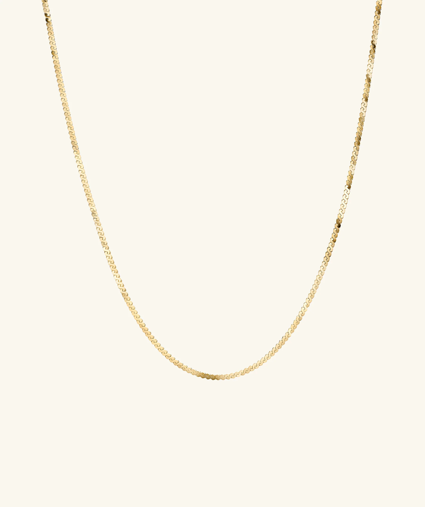 Serpentine Chain Necklace | Mejuri Fine Crew