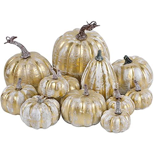 Lvydec Artificial Pumpkins Set Harvest Decoration, 14pcs Assorted Size Gold Pumpkins Realistic Pumpk | Amazon (US)