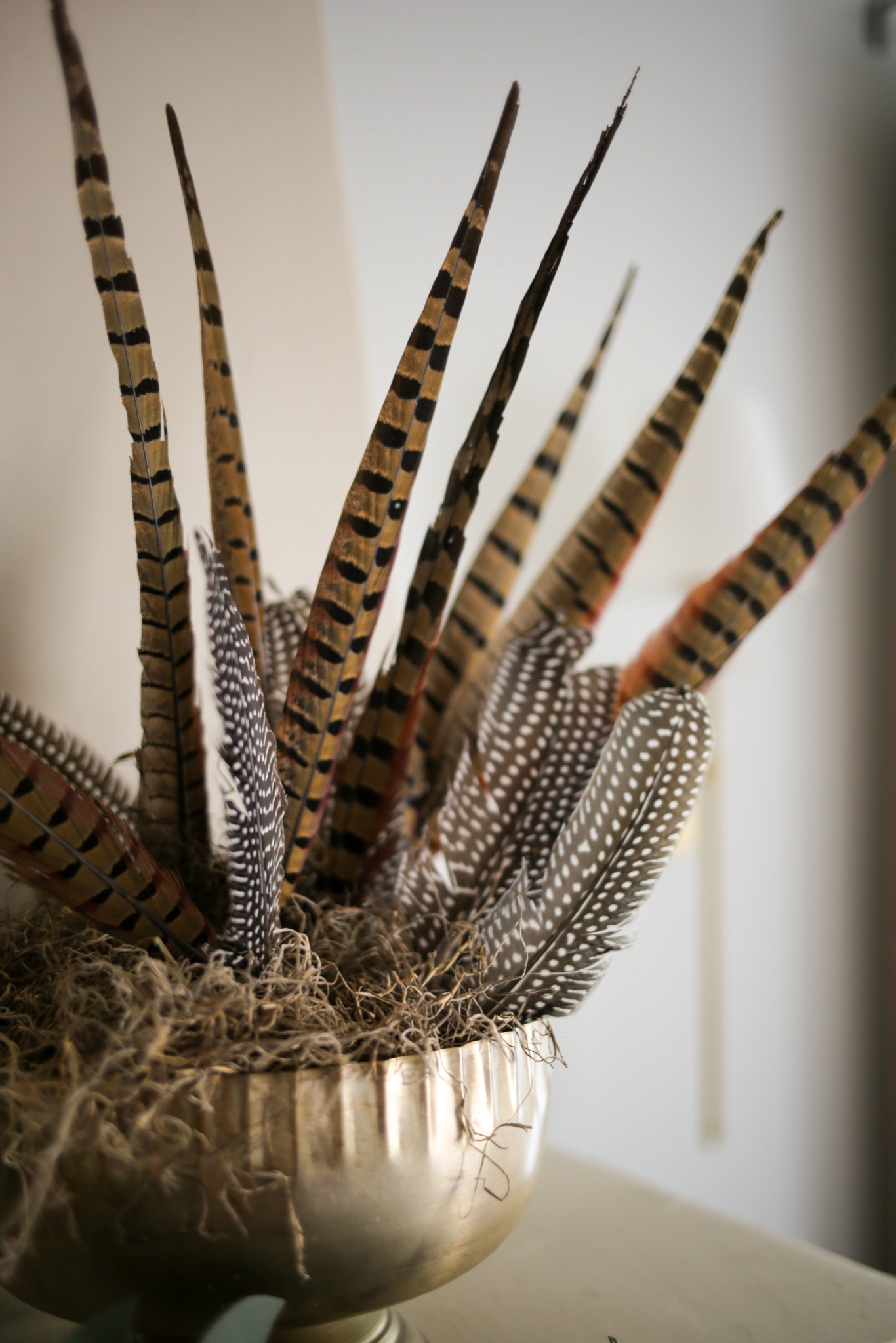 Adding something a little different to my Christmas mantle this year.. going for Nancy Meyers meets Ralph Lauren vibes with this pheasant and guinea feather arrangement 

#LTKFindsUnder50 #LTKHoliday #LTKHome