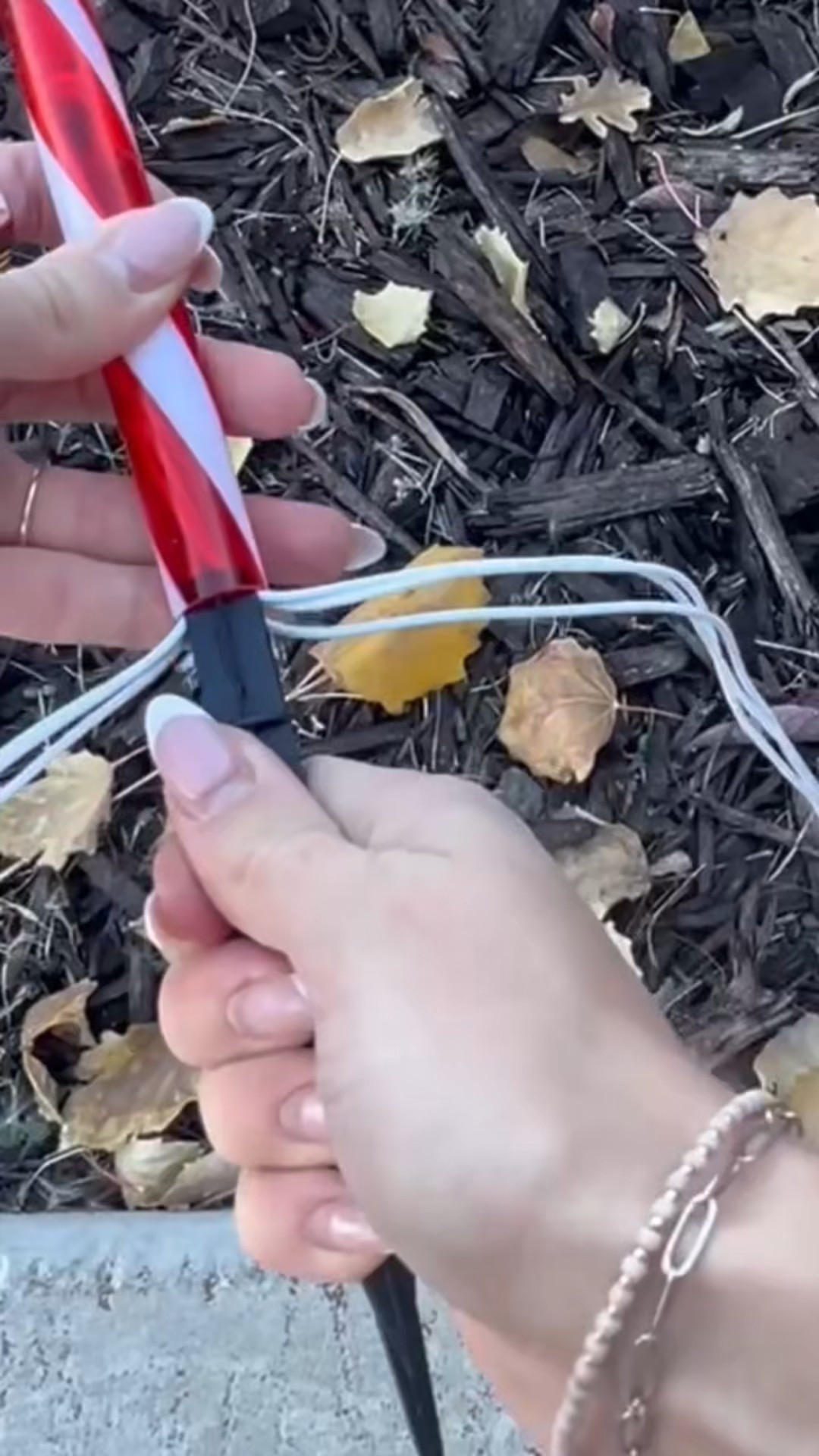 Candy cane lane 

#LTKHome #LTKSaleAlert #LTKHoliday