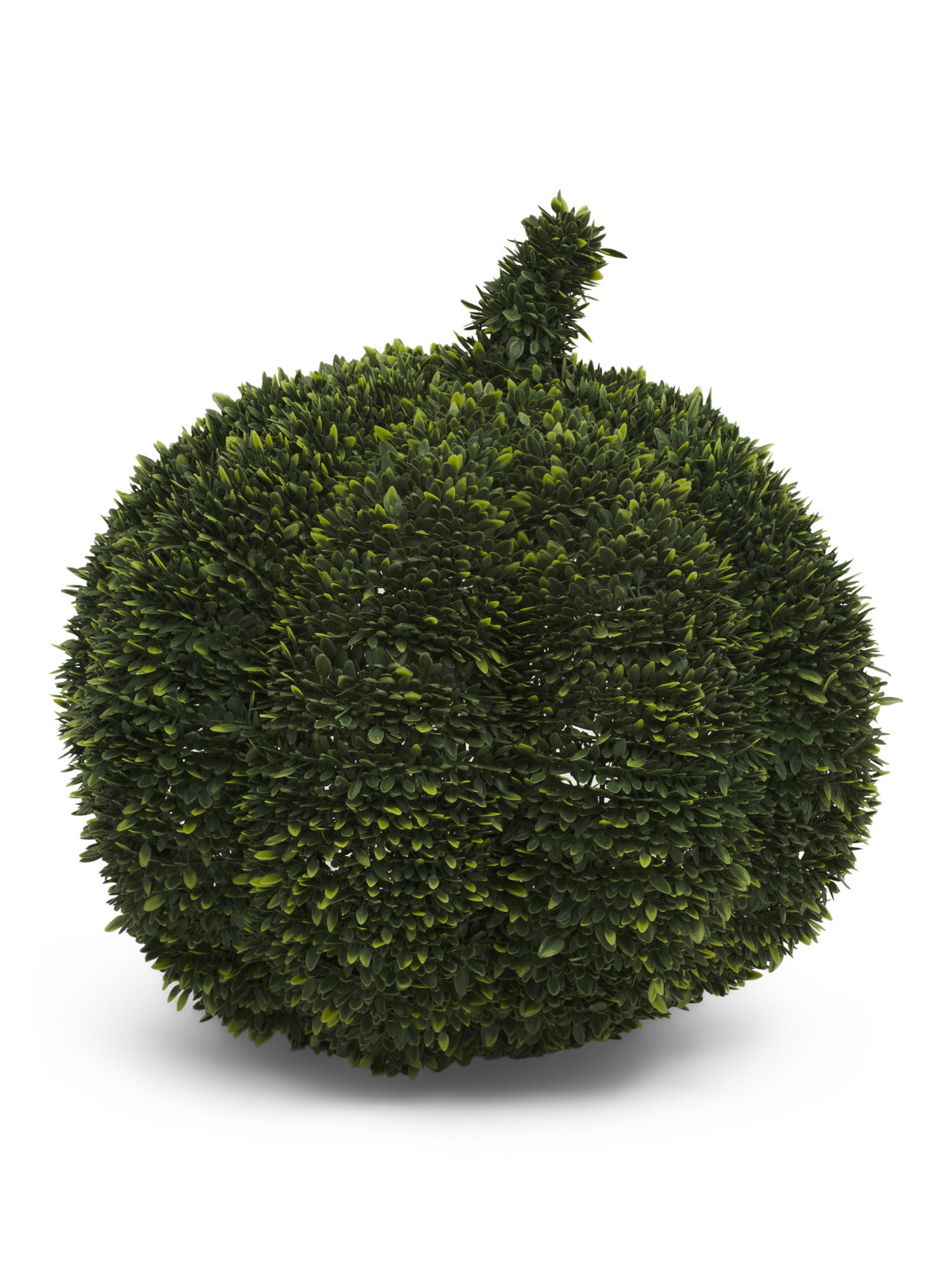 18in Boxwood Middle Pumpkin | Plants & Planters | Marshalls | Marshalls