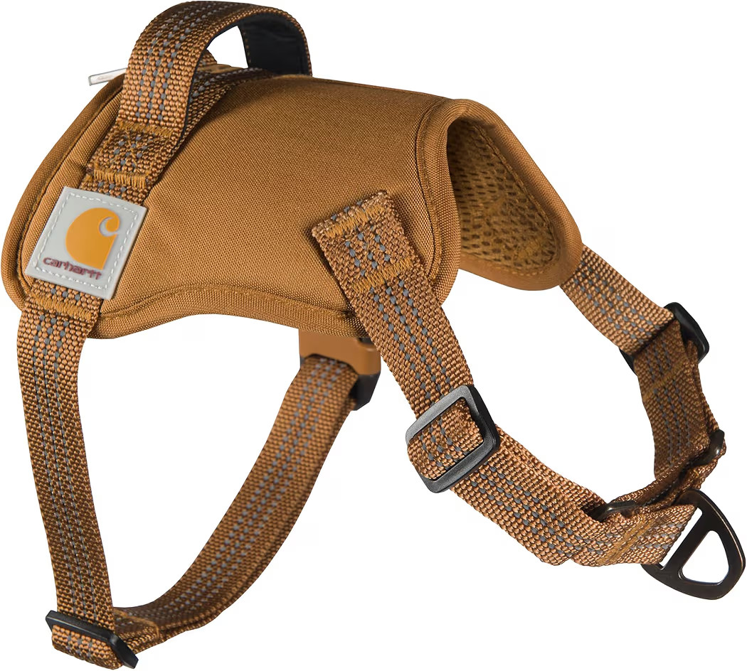 Carhartt Nylon Duck No Pull Dog Harness, Fully Adjustable Dog Harness with Quick Control Handle a... | Amazon (US)