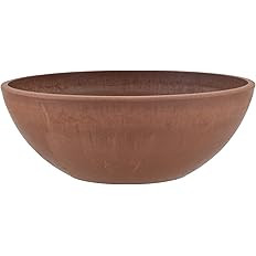 PSW M20TC Pot Collection Shallow Garden Bowl Planter for Succulents, Bonsai, Fairy Gardens, Herbs... | Amazon (US)