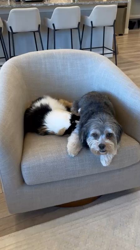 Here’s a more up close look of the chairs! Millie and Maddie have already made themselves comfortable as you can see haha

#LTKsalealert #LTKhome