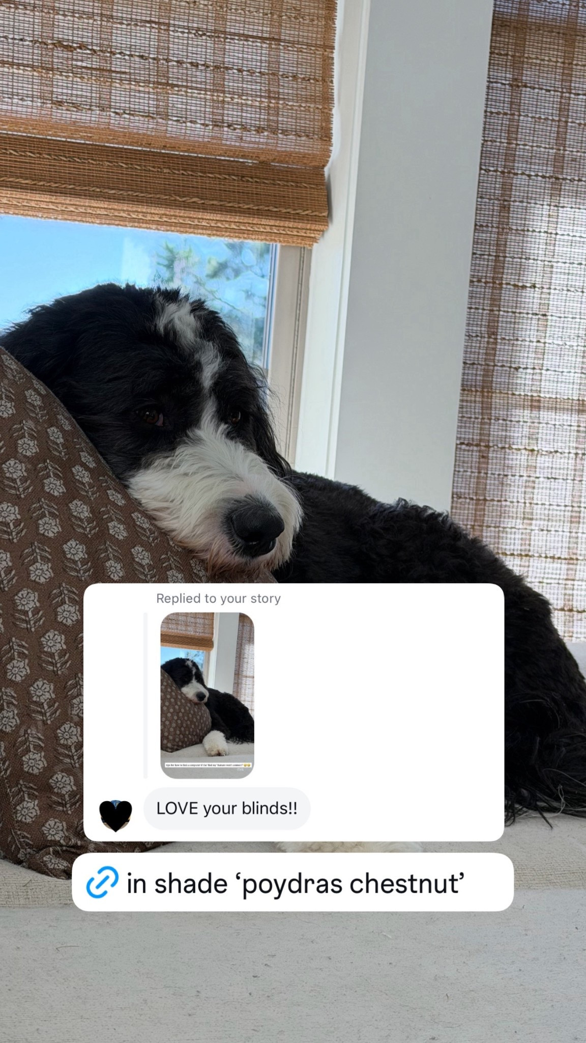 In the shade ‘poydras chestnut’ 

#LTKHome