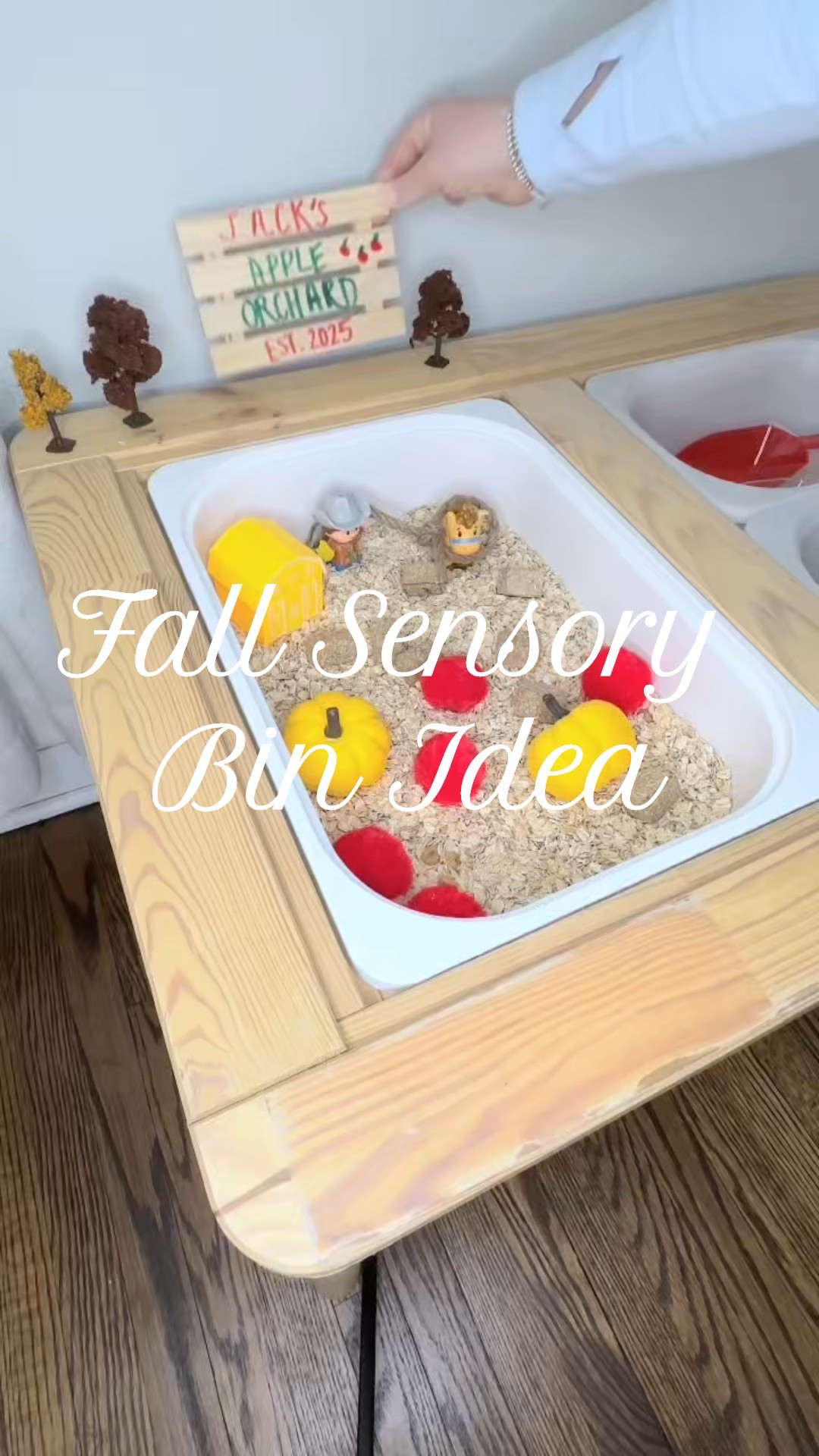 Sharing everything I used to make this cozy fall sensory bin that kept my toddler busy and happy. Most of the pieces are from Dollar Tree and Michaels, plus a few items from Amazon that make it super easy to recreate at home.

What I Used:
• Oats base
• Pom poms for “apples”
• Mini tongs
• Mini pumpkins
• Fall trees
• Tiny hay bales
• Wooden plaque
• Little Tikes farmer and horse
• IKEA  sensory Table
• Farm book

This is perfect for fall theme play, fine motor skills, scooping, sorting, and pretend play. He ended the activity feeding the horses like the little farmer he is. Everything you need is linked below.

#LTKFamily #LTKKids #LTKGiftGuide