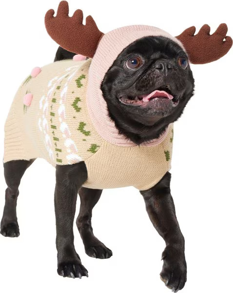 FRISCO Nordic Fair Isle Dog & Cat Hooded Sweater, Small - Chewy.com | Chewy.com