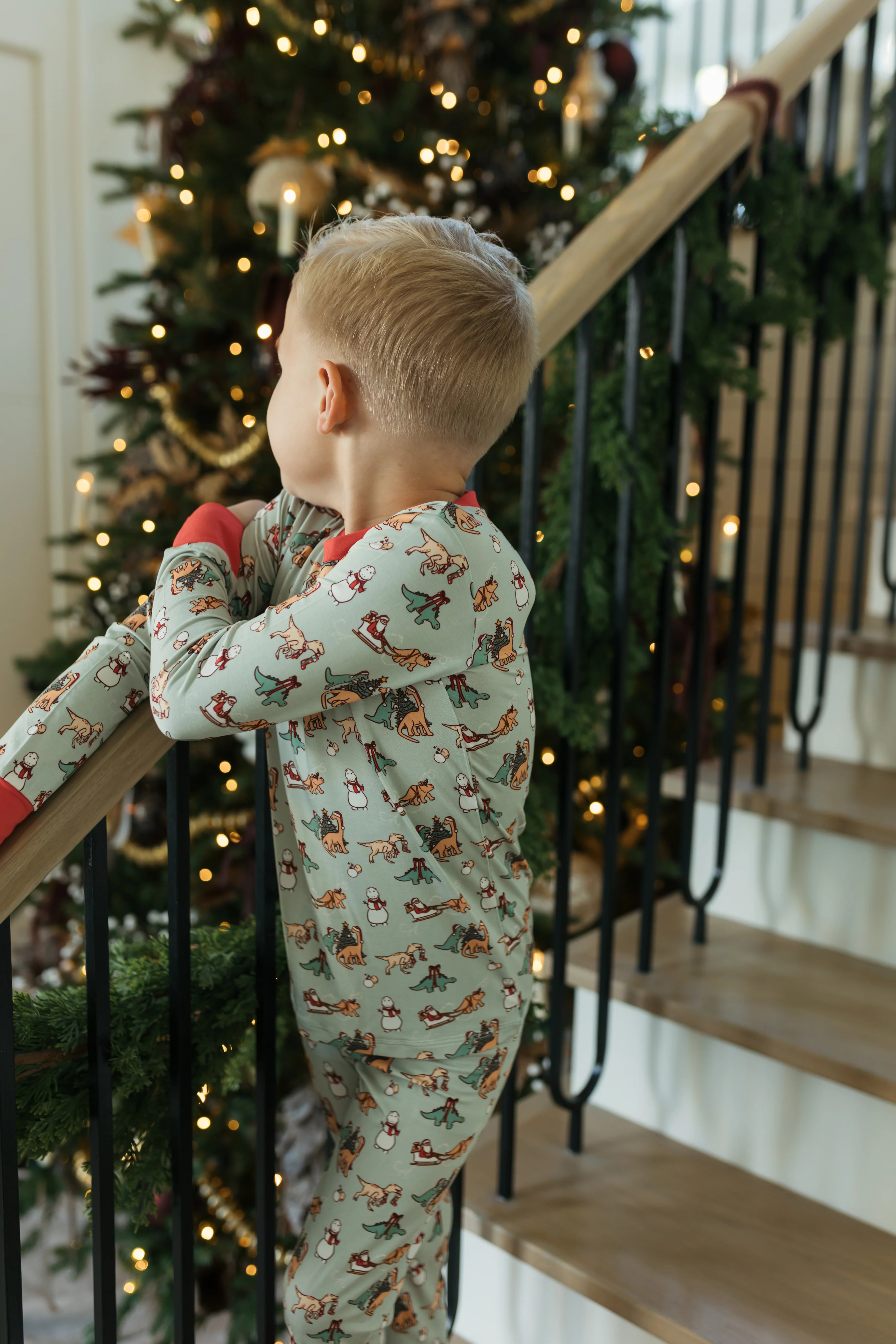 Christmas Dinos Two Piece Set IMJ x Daryl-Ann Denner | In My Jammers