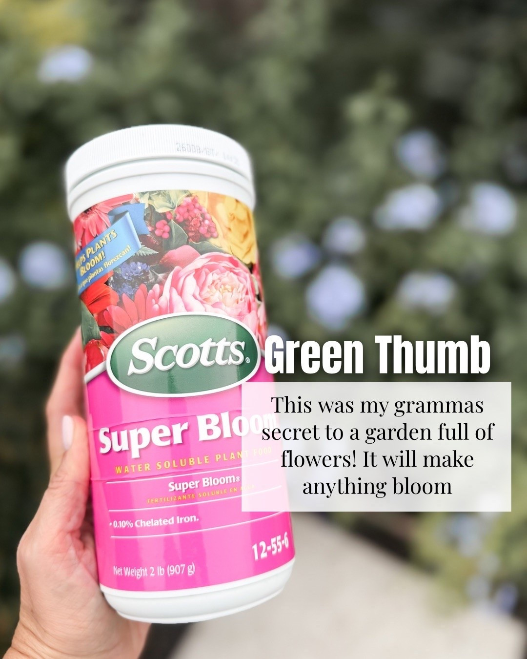 I started using this flower food after realizing how much longer fresh blooms can last with a little extra care. It’s an easy step that helps keep flowers looking brighter, healthier, and more vibrant, whether they’re sitting on the kitchen counter or styled for a gathering.

Flower food, flower fertilizer, fresh flowers, gardening essentials, flower care, blooming flowers, home decor, floral arrangement, summer gardening, plant care, HauteandHumid

#LTKSeasonal #LTKTravel #LTKdayinmylife