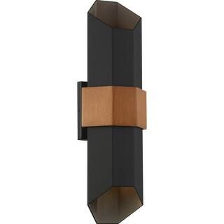 Chasm 1-Light Black Outdoor LED Wall Lantern Sconce | The Home Depot