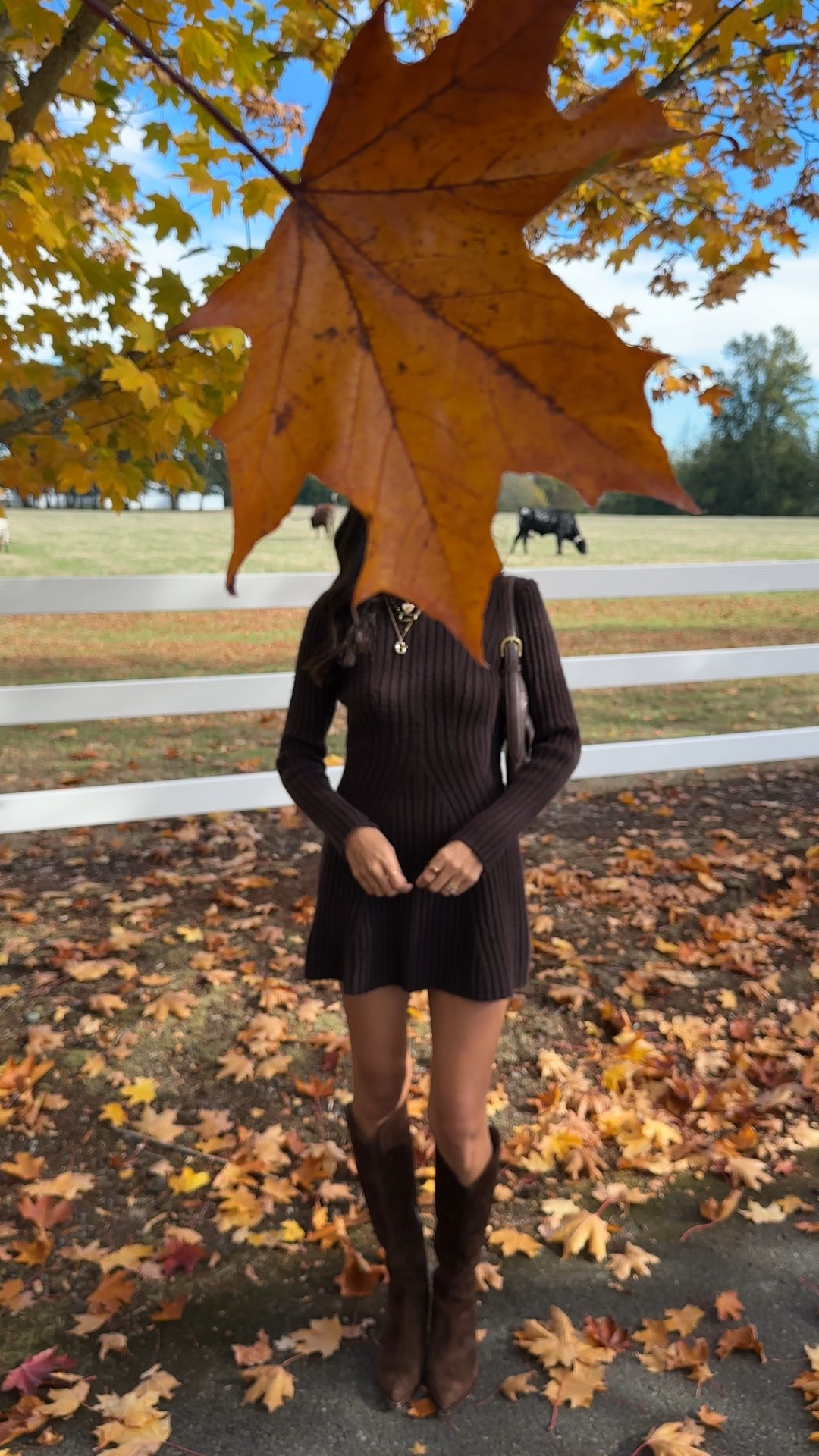 sweater dress, brown dress, knit sweater dress, thanksgiving outfit ideas, fall outfitts