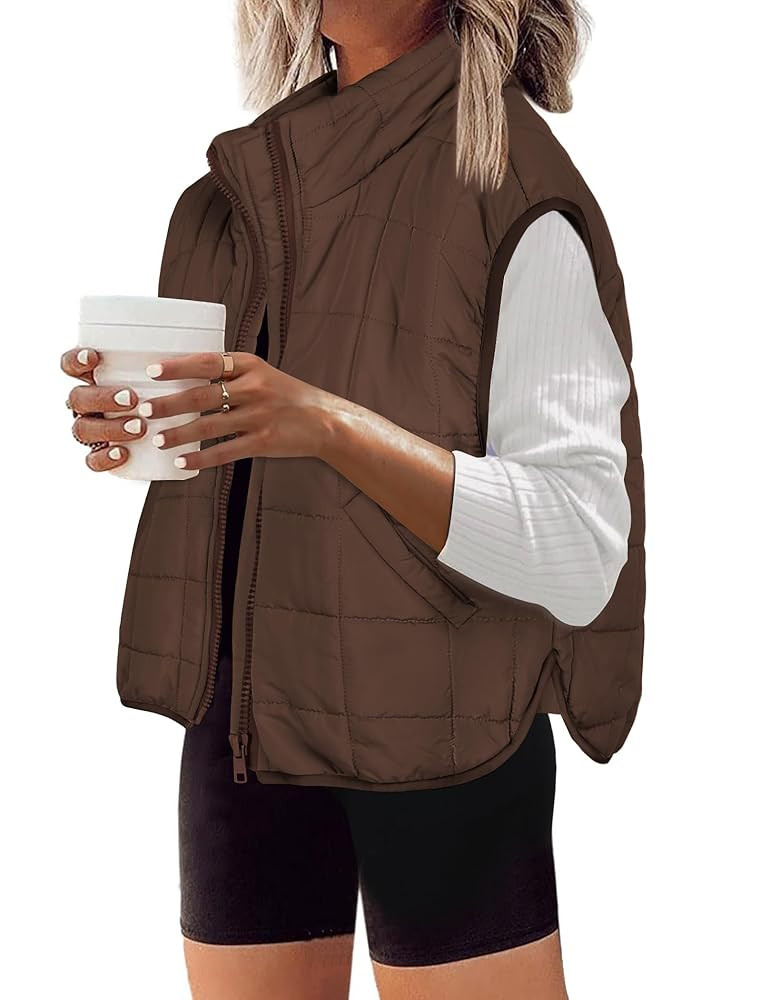 Zeagoo Womens Puffer Vest Ladies Sleeveless Zip Up Outerwear Warm Puffer Lightweight Down all Win... | Amazon (US)