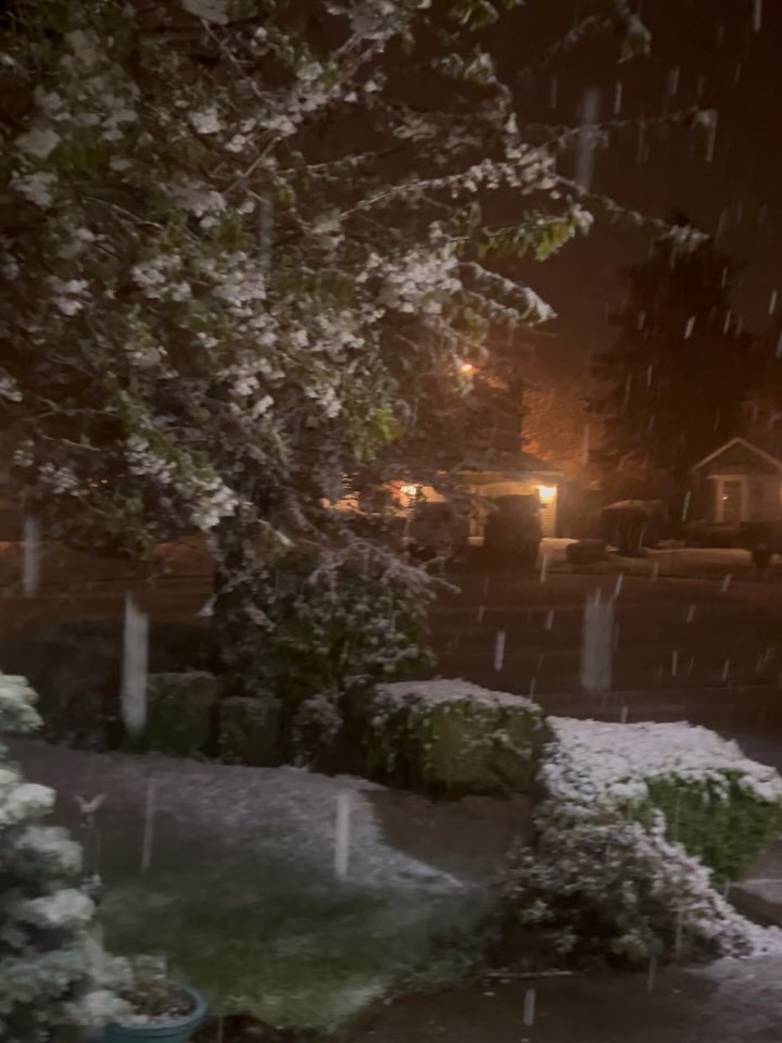 It’s April 15th and it’s snowing 🌨️ big flakes and sticking to the ground lol ❄️⛄️

#LTKSeasonal #LTKdayinmylife #LTKstorytime