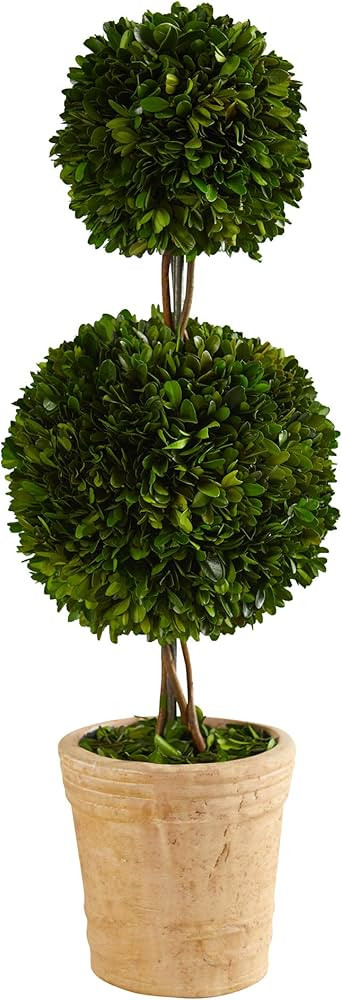 2.5ft. Preserved Boxwood Double Ball Topiary Tree in Decorative Planter (T1001) | Amazon (US)