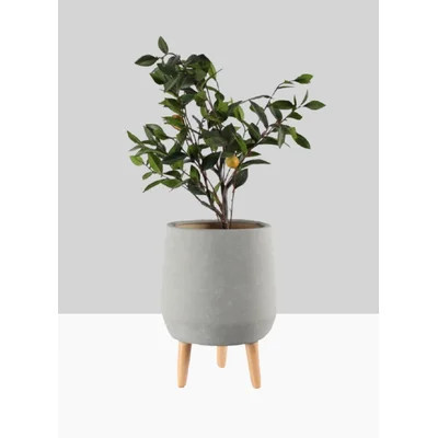 George Oliver Grey Ceramic Pot Holder For Plants With Wooden Legs, Use For A Potted Plant With Stand, Flower Pots Stand For Living Room, Kitchen, Offi | Wayfair North America