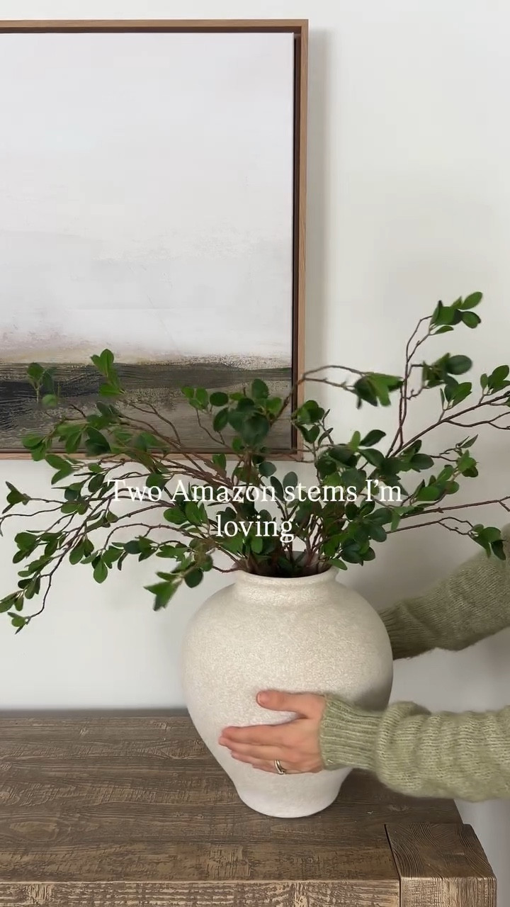 Two Amazon stems I’m loving right now 

#LTKHome #LTKSaleAlert