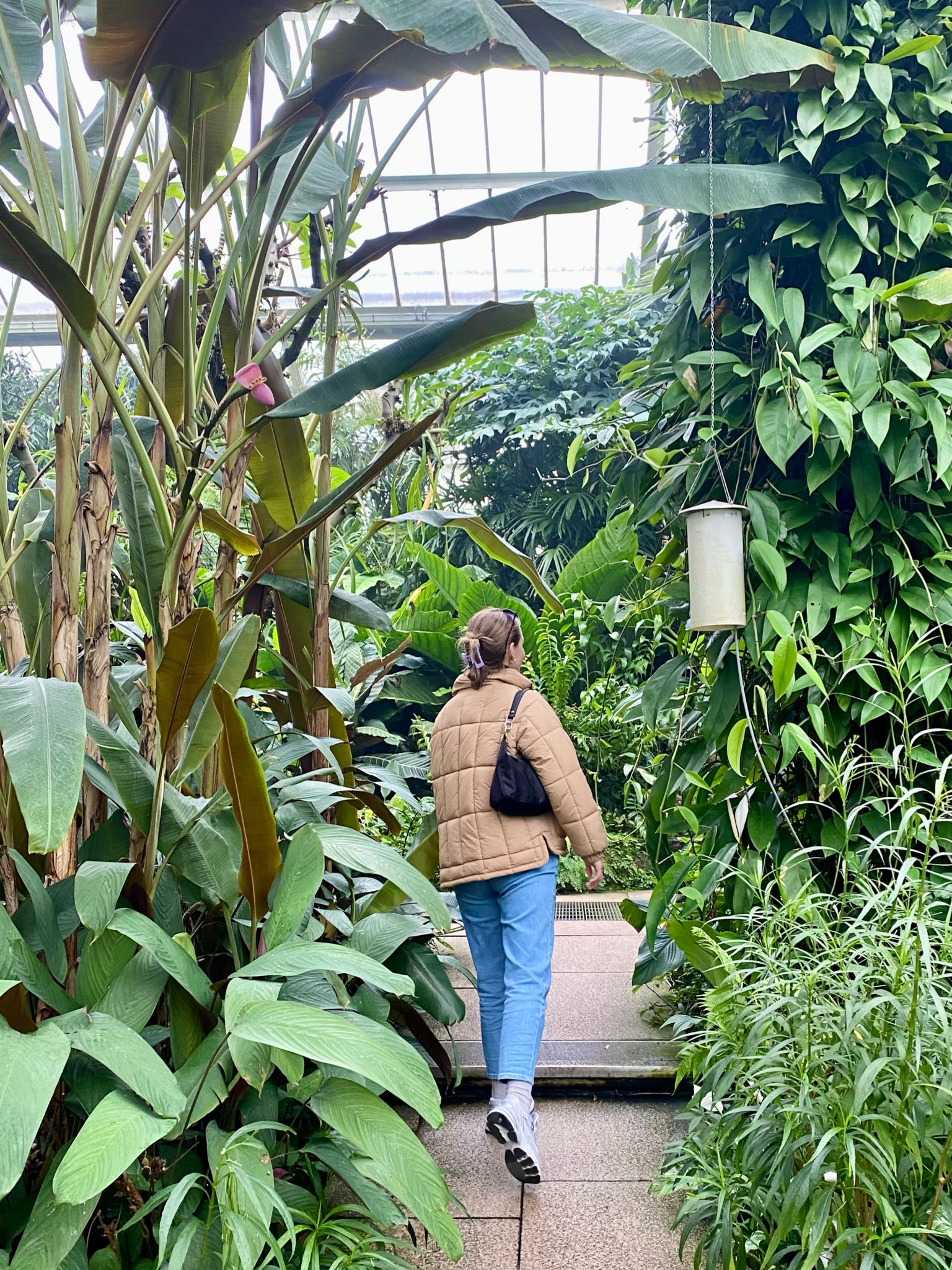 Kew gardens 🌴

#LTKtravel #LTKSeasonal #LTKmidsize