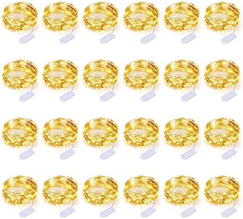 LEDIKON 24 Pack Led Fairy Lights Battery Operated,3.3ft 20 LED Silver Wire Warm White Firefly Lig... | Amazon (US)