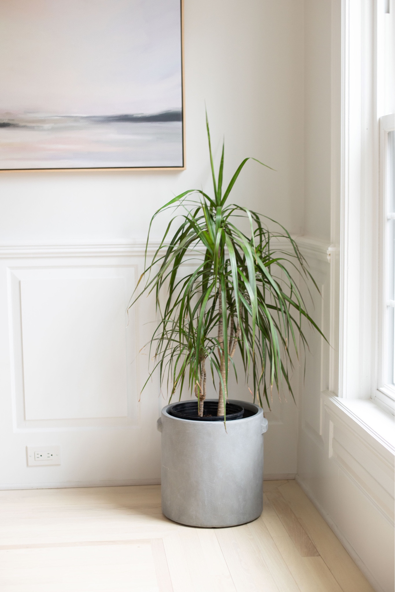 #LTKFind #LTKsalealert #LTKhome