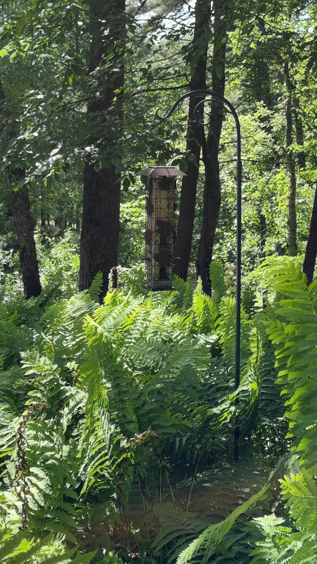 Squirrel-Be-Gone Bird Feeder. 
Wild bird feeder. 
Weight activated!
kimbentley, backyard, deck, garden landscape, Father’s Day gift,

#LTKVideo #LTKSaleAlert #LTKGiftGuide