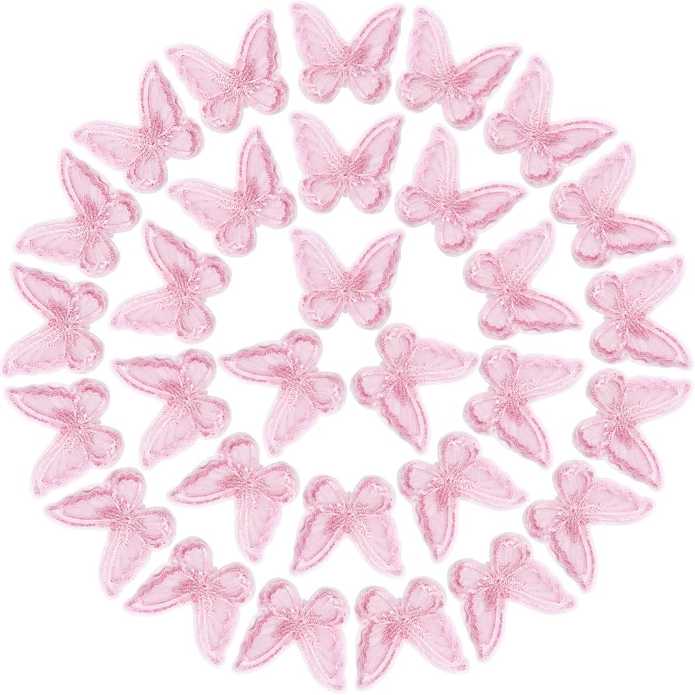 PAGOW 30pcs Butterfly Lace Trim, Organza Patches Fabric Double Layers Embroidery Sewing Craft Dec... | Amazon (US)