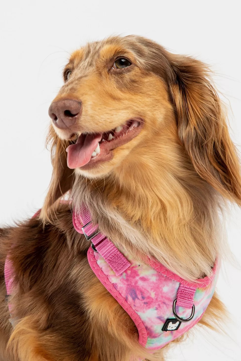 Silver Paw Poplin Dog Harness | Urban Outfitters (US and RoW)