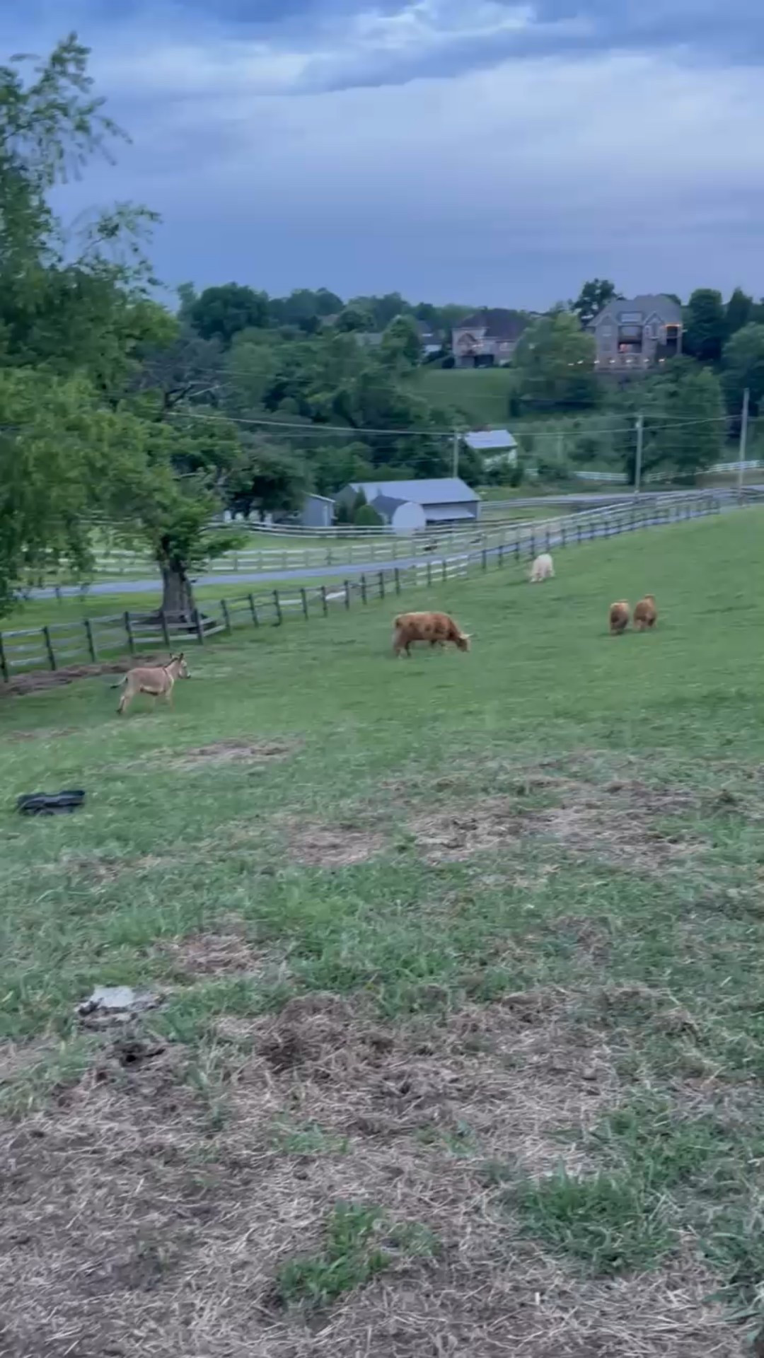 Not clothes related. Just fun! This and the kids jumping on the trampoline til the sun goes down every night please!!!

#LTKSeasonal #LTKFamily #LTKActive