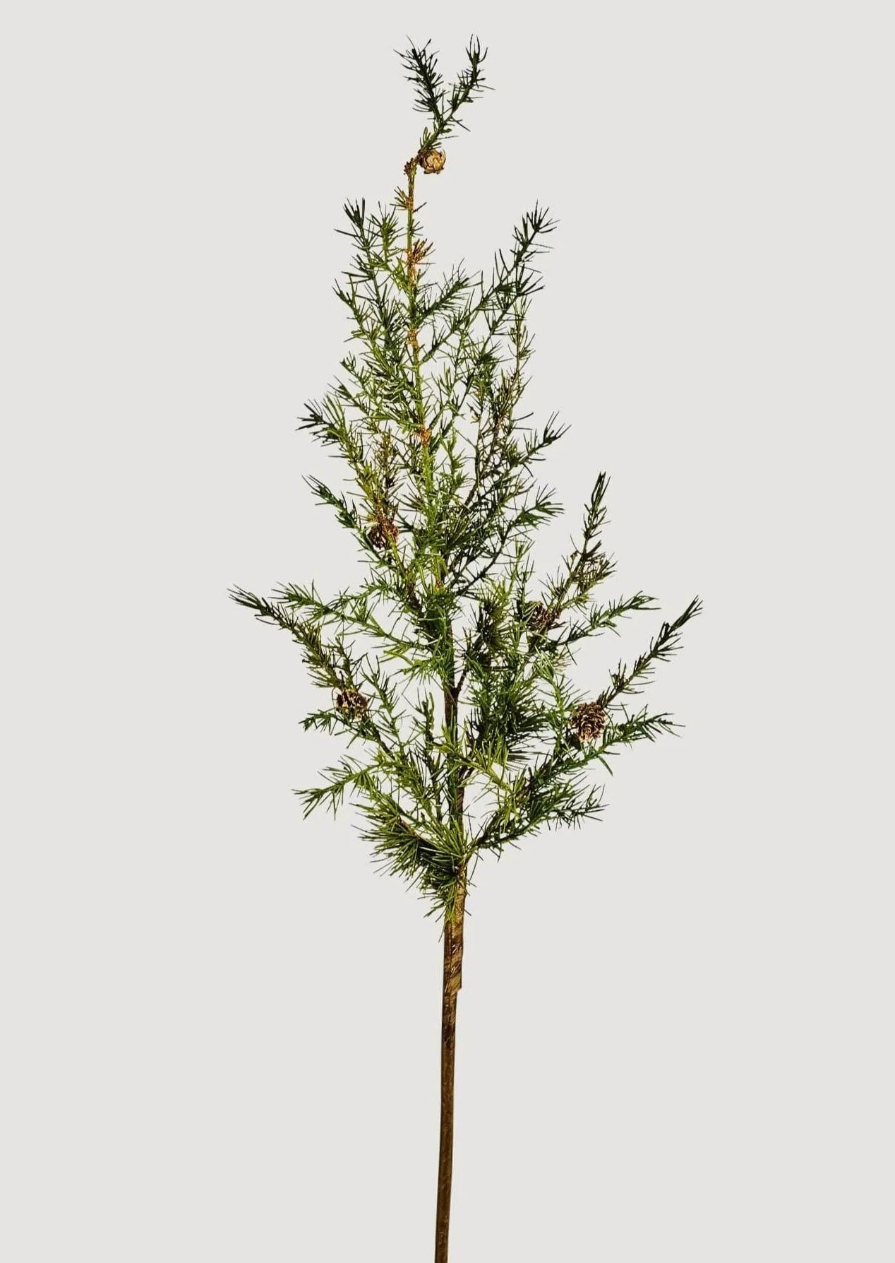 Artificial Winter Hemlock and Pine Cone Branch - 44" | Afloral