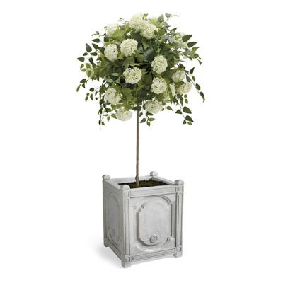 50' Snowball Flower Potted Plant | Frontgate | Frontgate