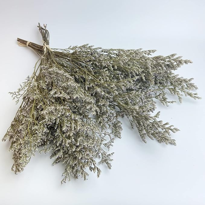 Preserved Caspia Statice Flower Bouquets, 100% Natural Long Lasting Flowers, 17 Inch Arrangements... | Amazon (US)