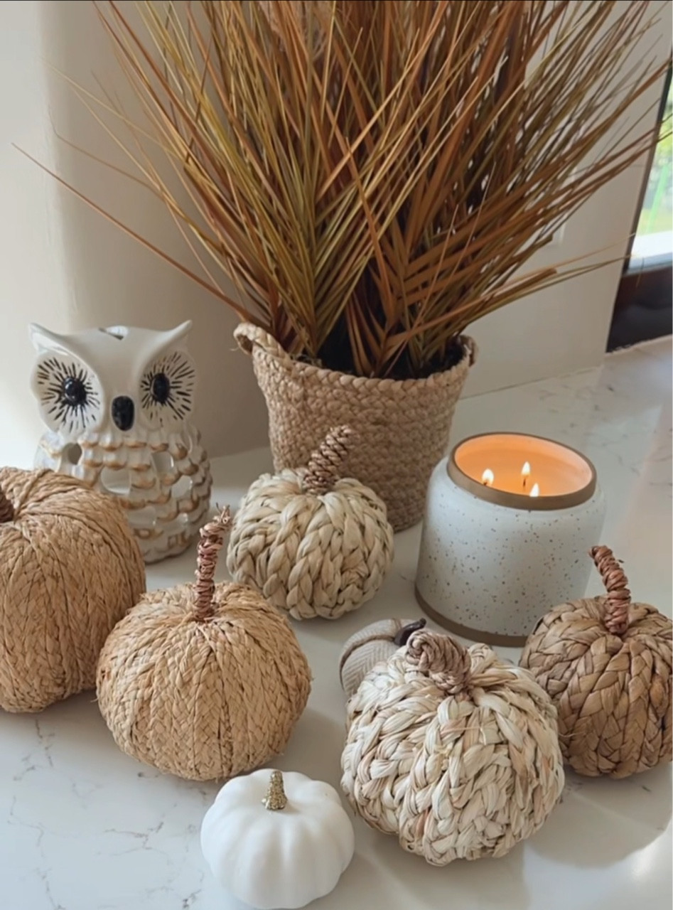 Target pumpkins 

#LTKsalealert #LTKunder50 #LTKSeasonal