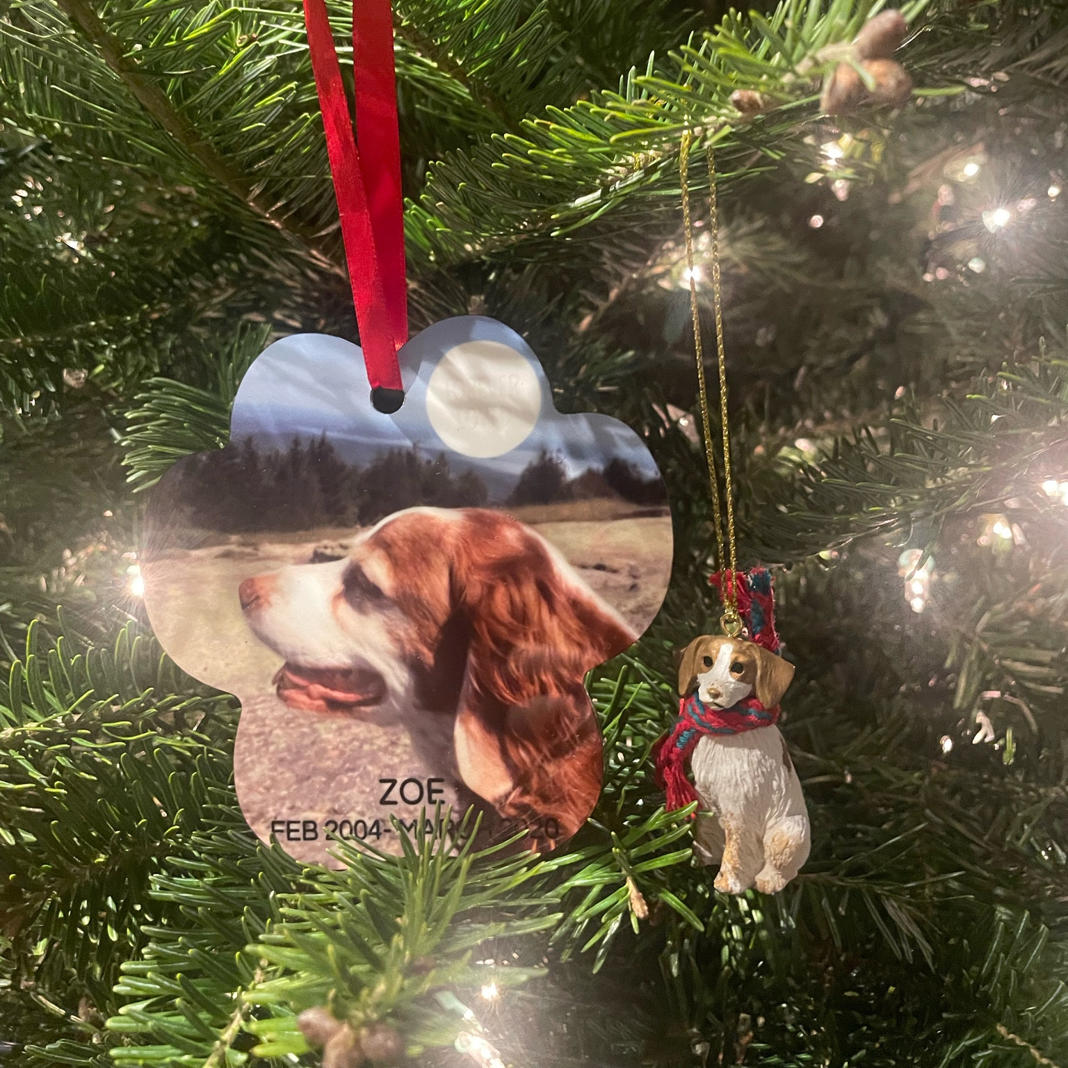Custom ornament- awesome gift idea! Etsy and Shutterfly finds

#LTKHoliday #LTKGiftGuide #LTKHome