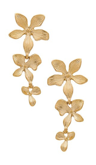 Apana Earring in Gold | Revolve Clothing (Global)