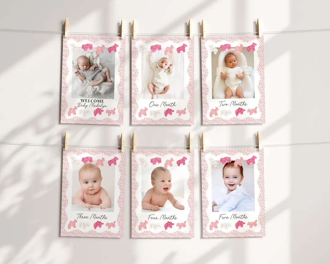 Frosted Animal Cookies 1st Birthday Milestone Banner Template, Party Animals Sweet Celebration Re... | Etsy (US)