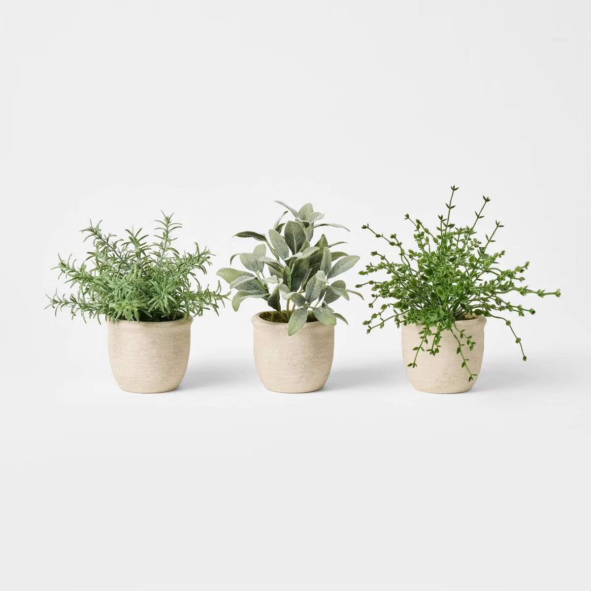 Set of 3 Mini Potted Herbs - Threshold™ designed with Studio McGee | Target